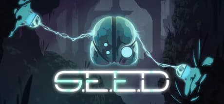 seed görsel 1