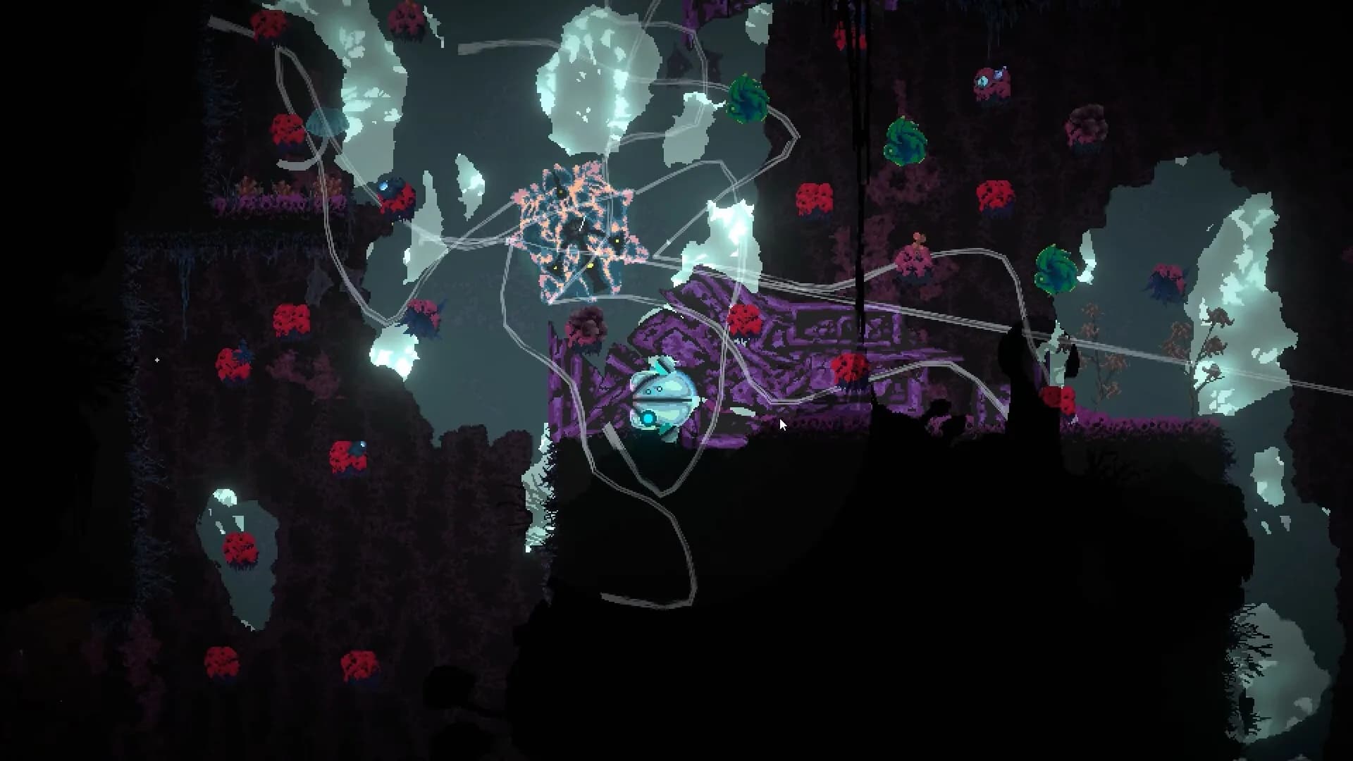 seed görsel 7