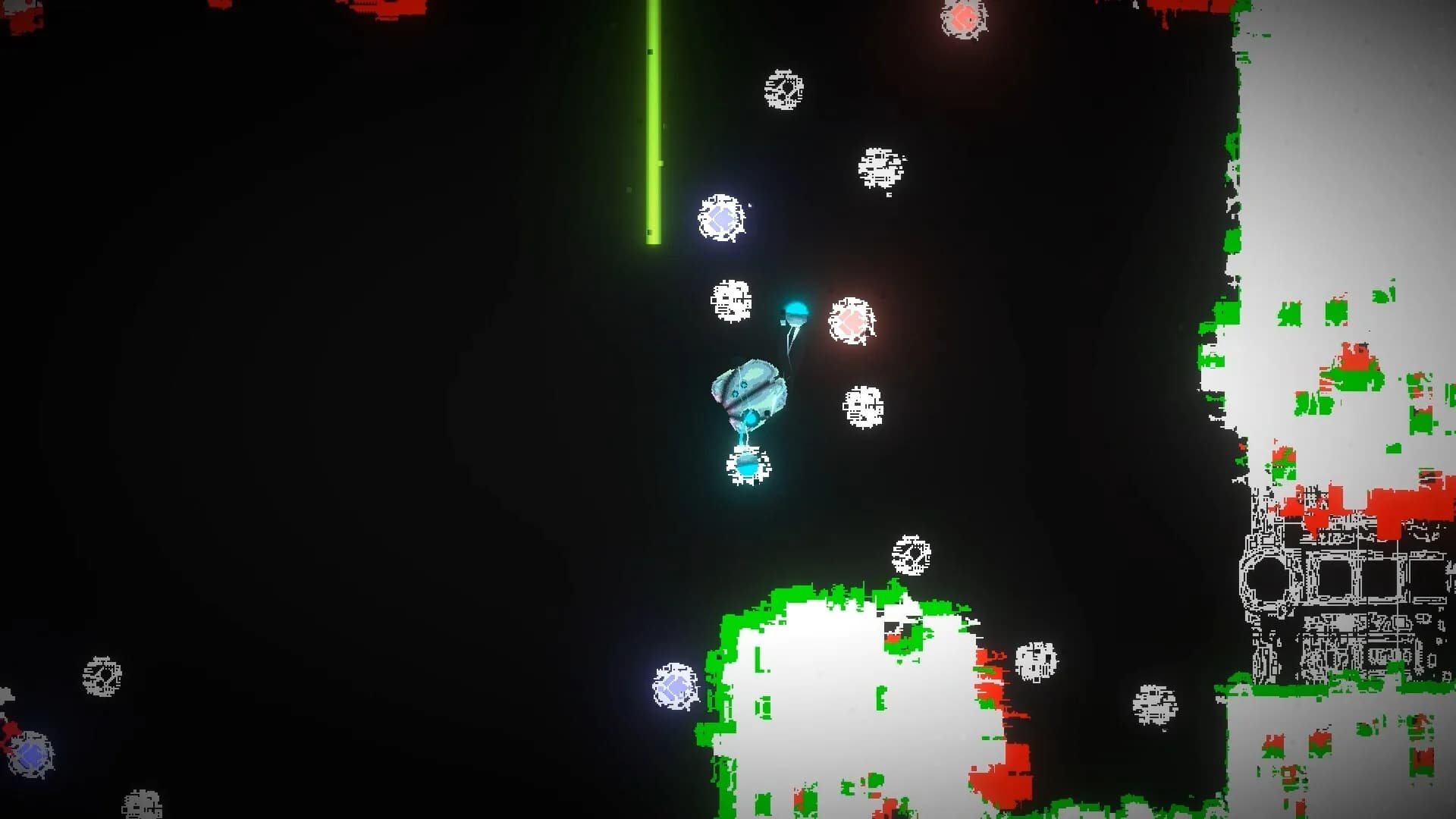 seed görsel 9