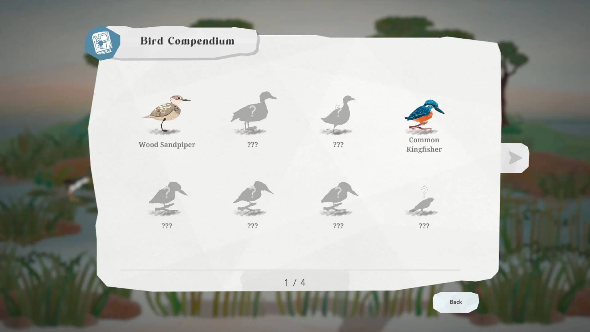 Junior Birder Adventure görsel 19