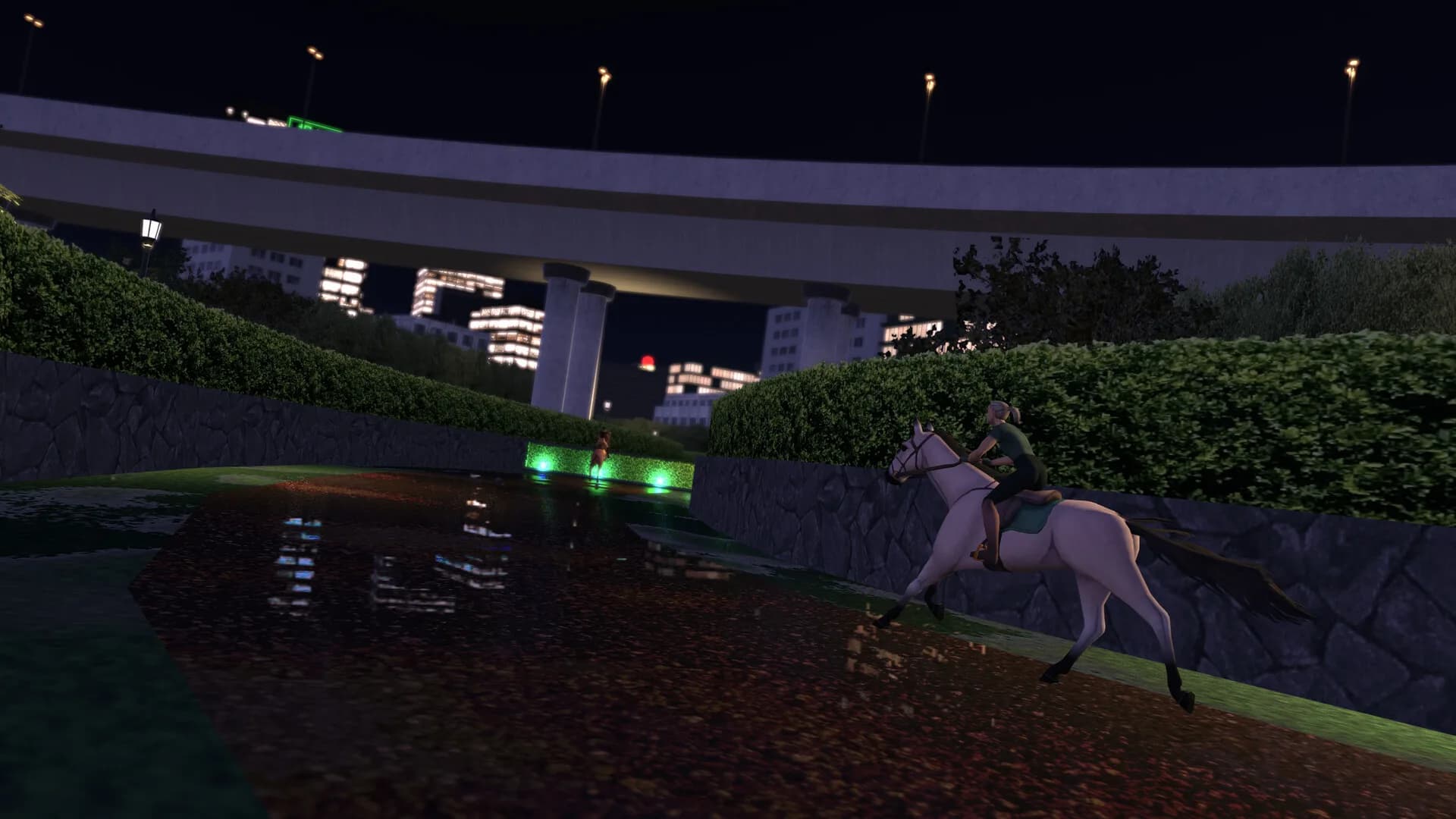 TOP STEED görsel 10