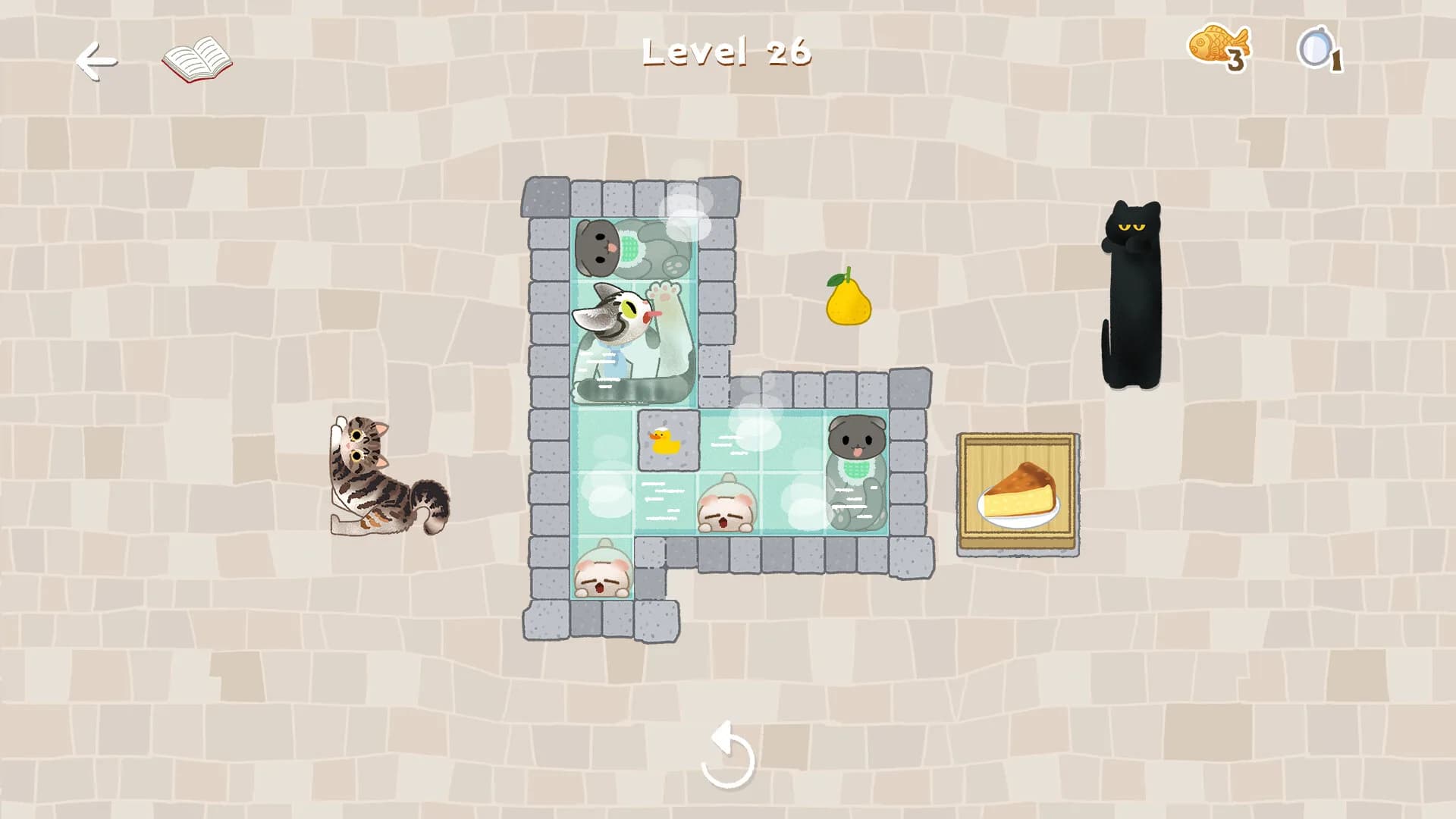 CATS BLOCKS: HOT SPRINGS görsel 6