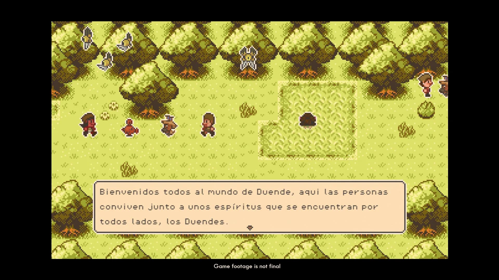 Duende görsel 2