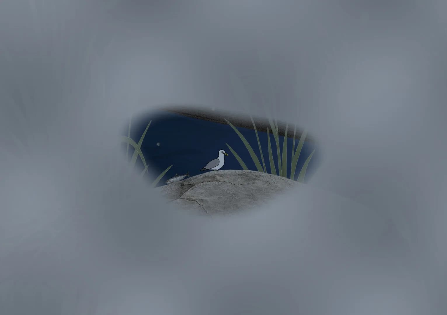 Larius The Seagull görsel 3