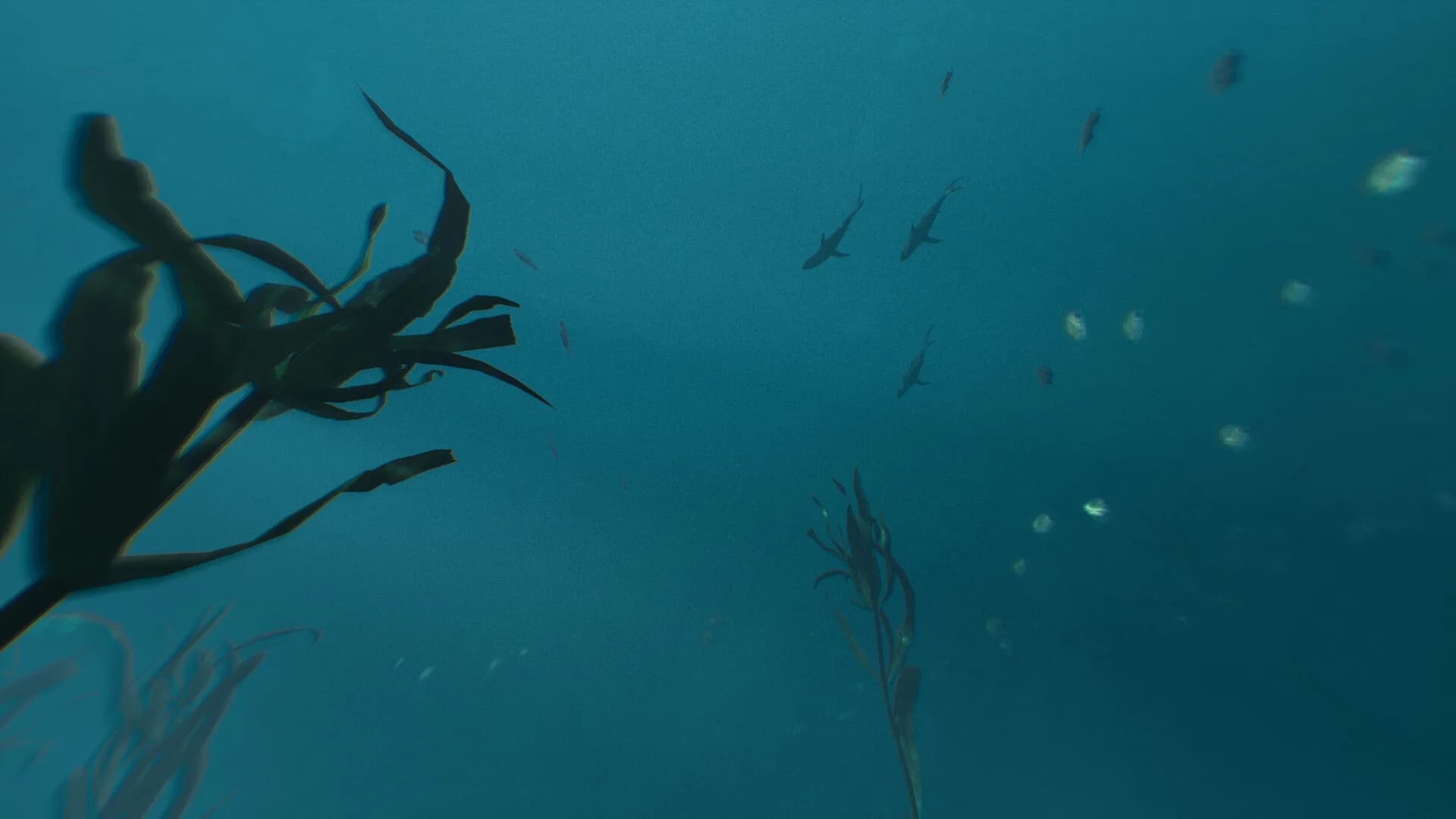 GNOSiS görsel 6