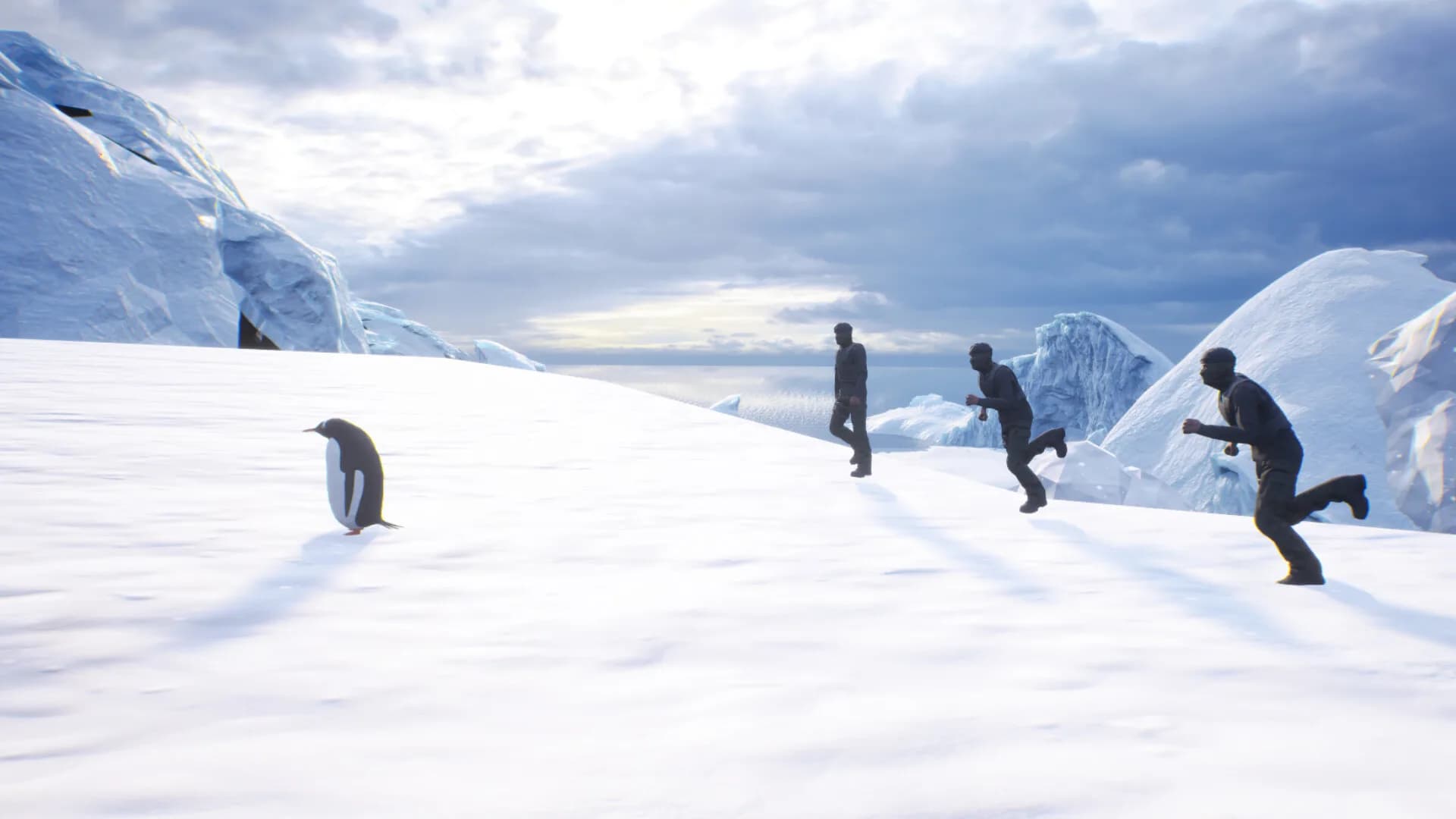 Lonely Penguin görsel 4