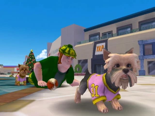 Jerry Rice & Nitus' Dog Football görsel 18
