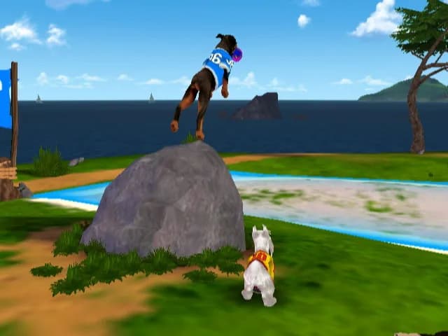 Jerry Rice & Nitus' Dog Football görsel 21
