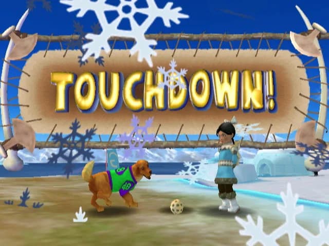 Jerry Rice & Nitus' Dog Football görsel 25