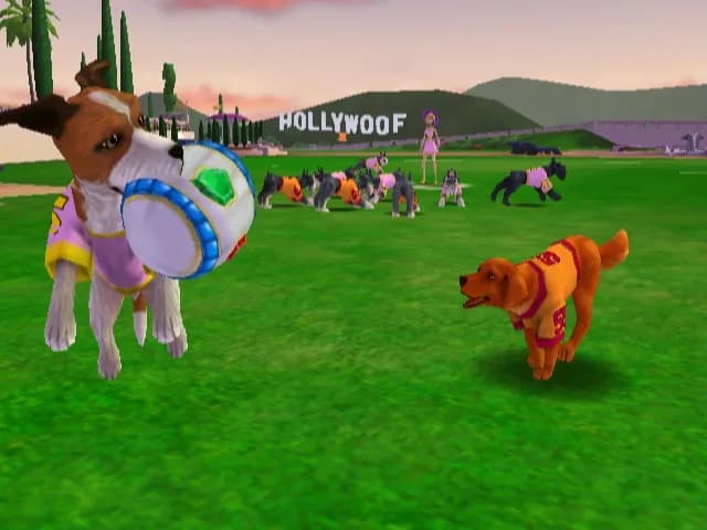 Jerry Rice & Nitus' Dog Football görsel 26