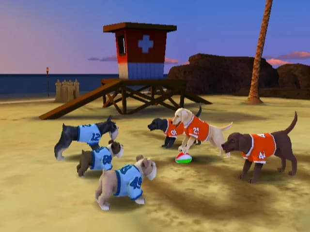Jerry Rice & Nitus' Dog Football görsel 6