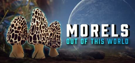 Morels: Out of this World