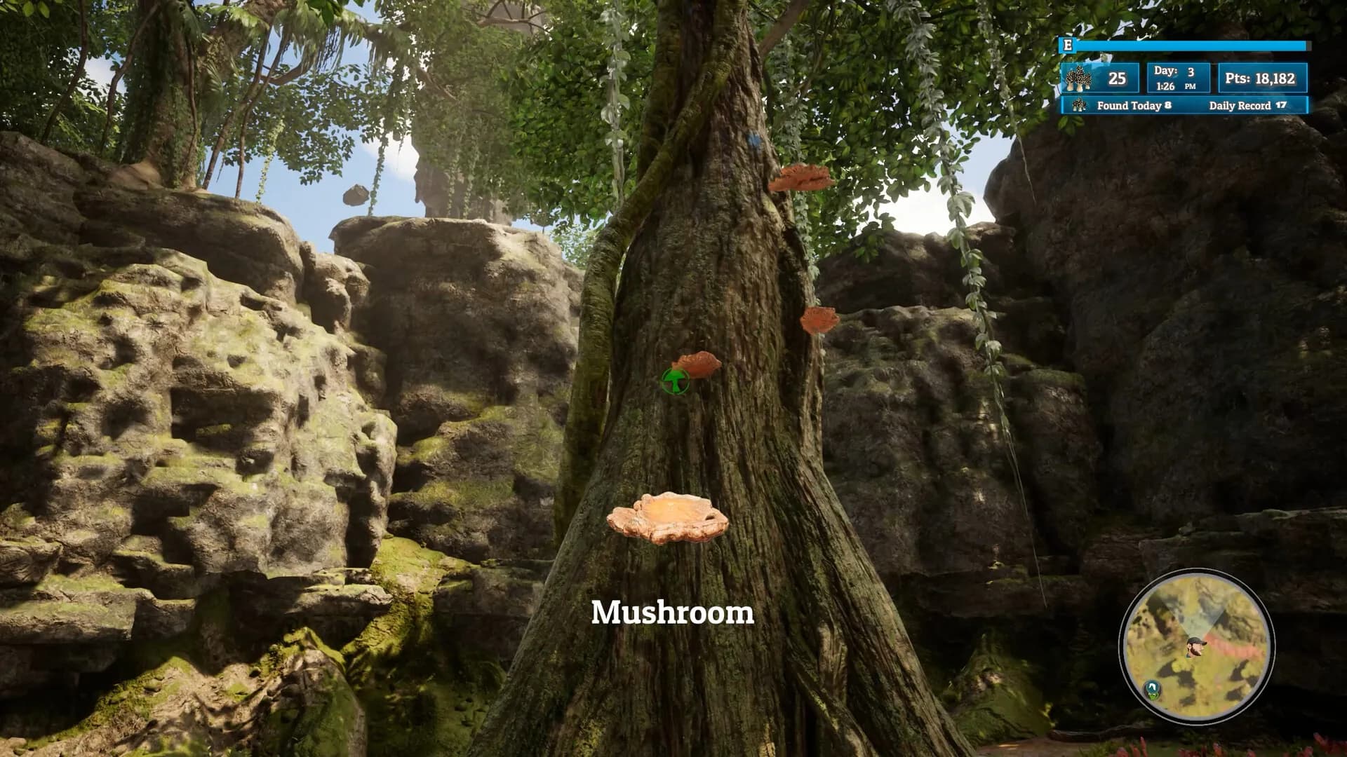 Morels: Out of this World görsel 12
