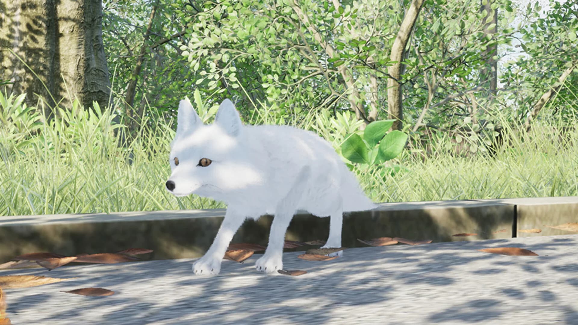 Become A Monarch görsel 3