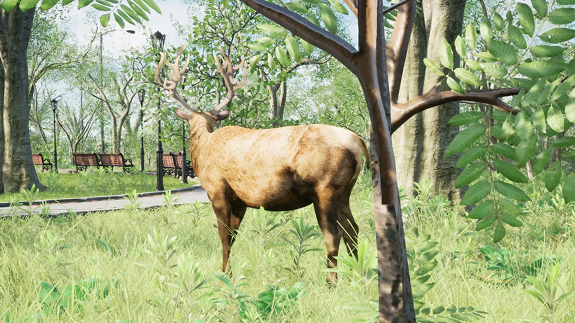 Become A Monarch görsel 5