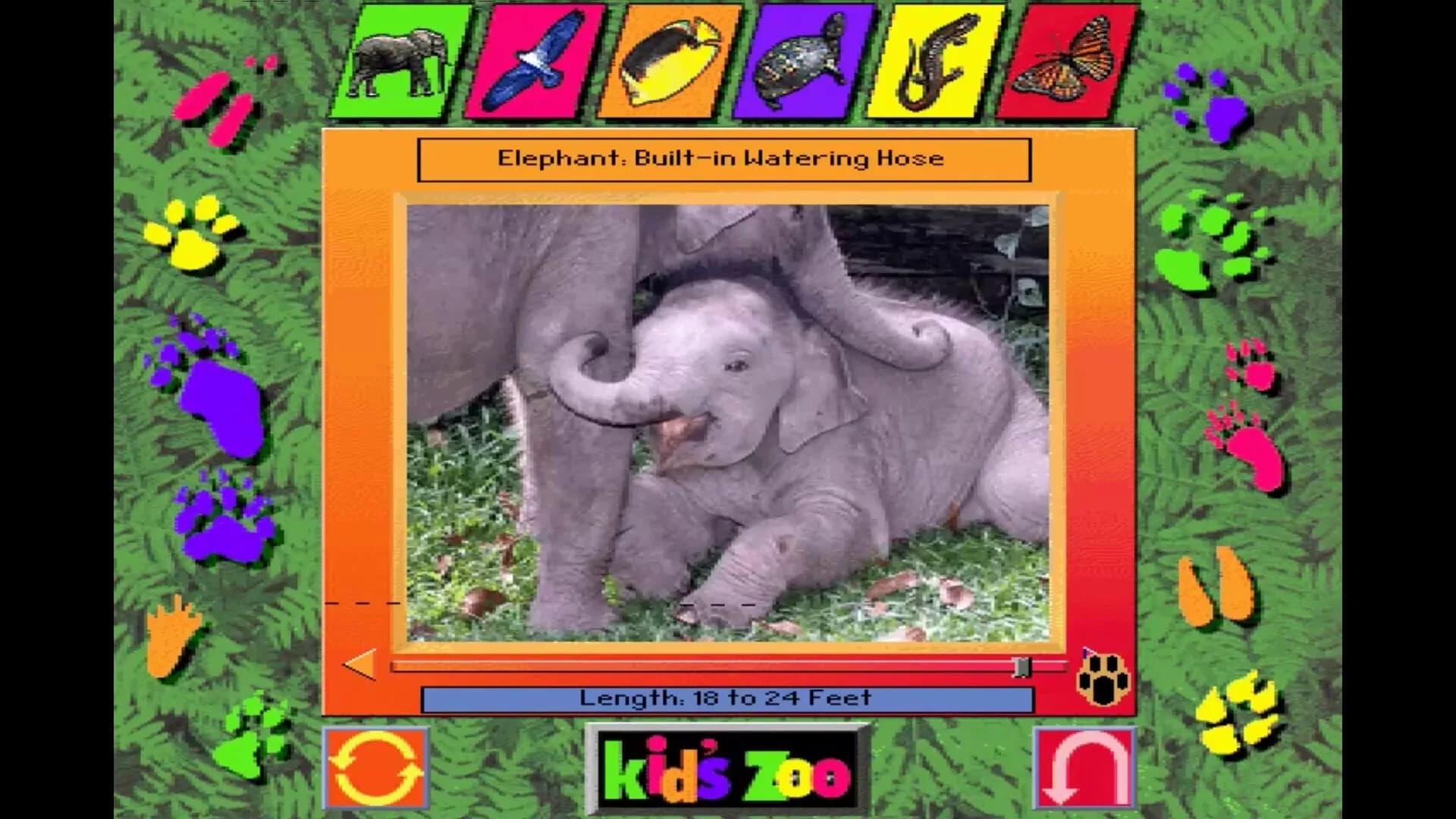 Kid's Zoo: A Baby Animal Adventure görsel 3