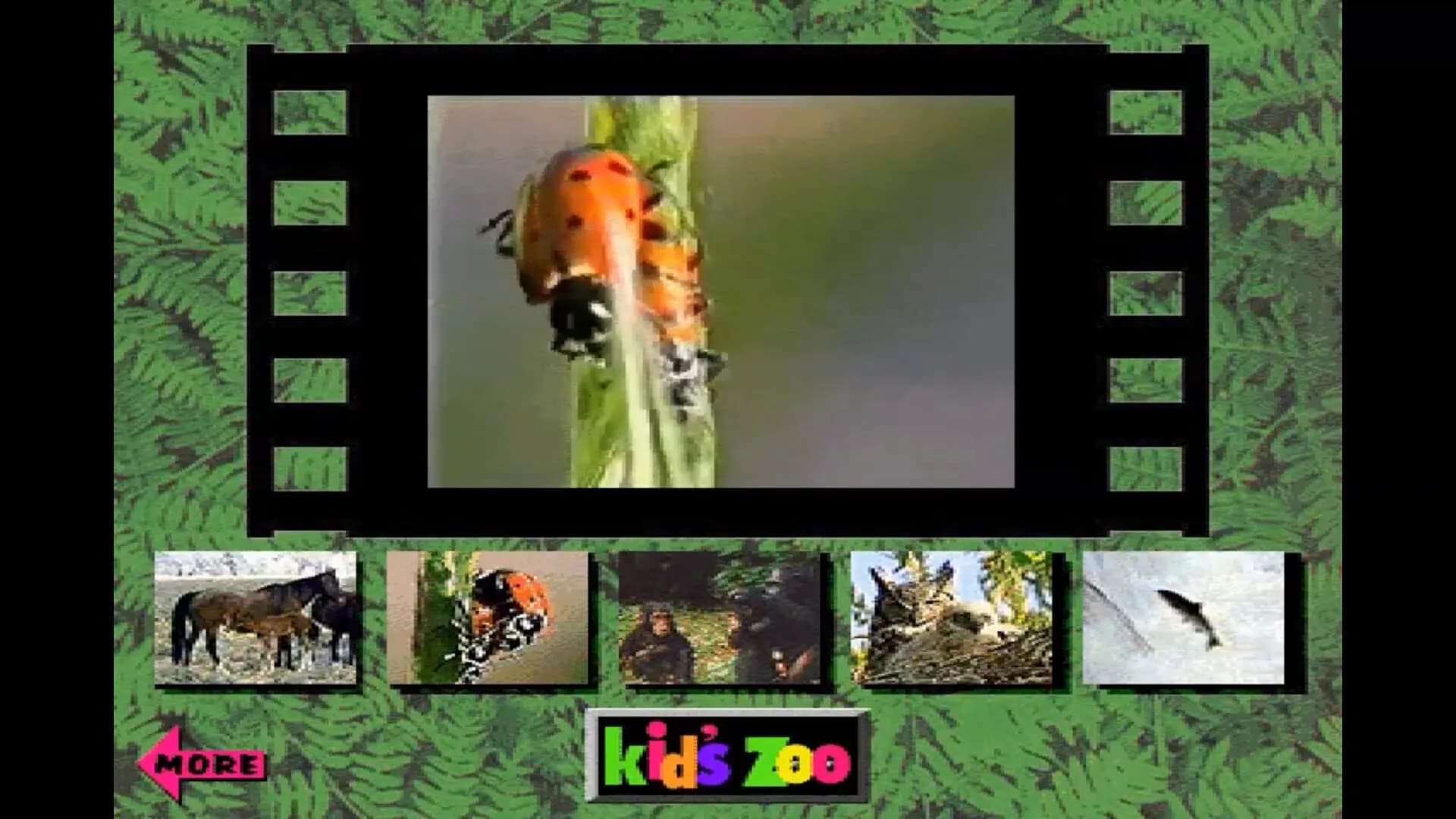 Kid's Zoo: A Baby Animal Adventure görsel 5