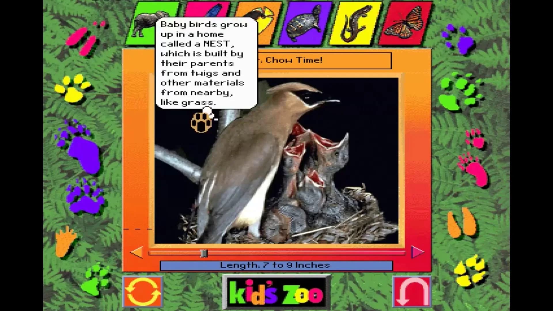 Kid's Zoo: A Baby Animal Adventure görsel 6