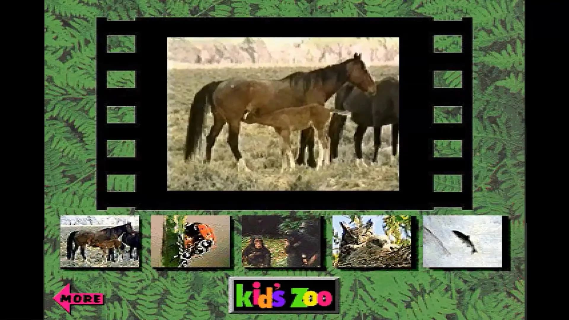 Kid's Zoo: A Baby Animal Adventure görsel 8