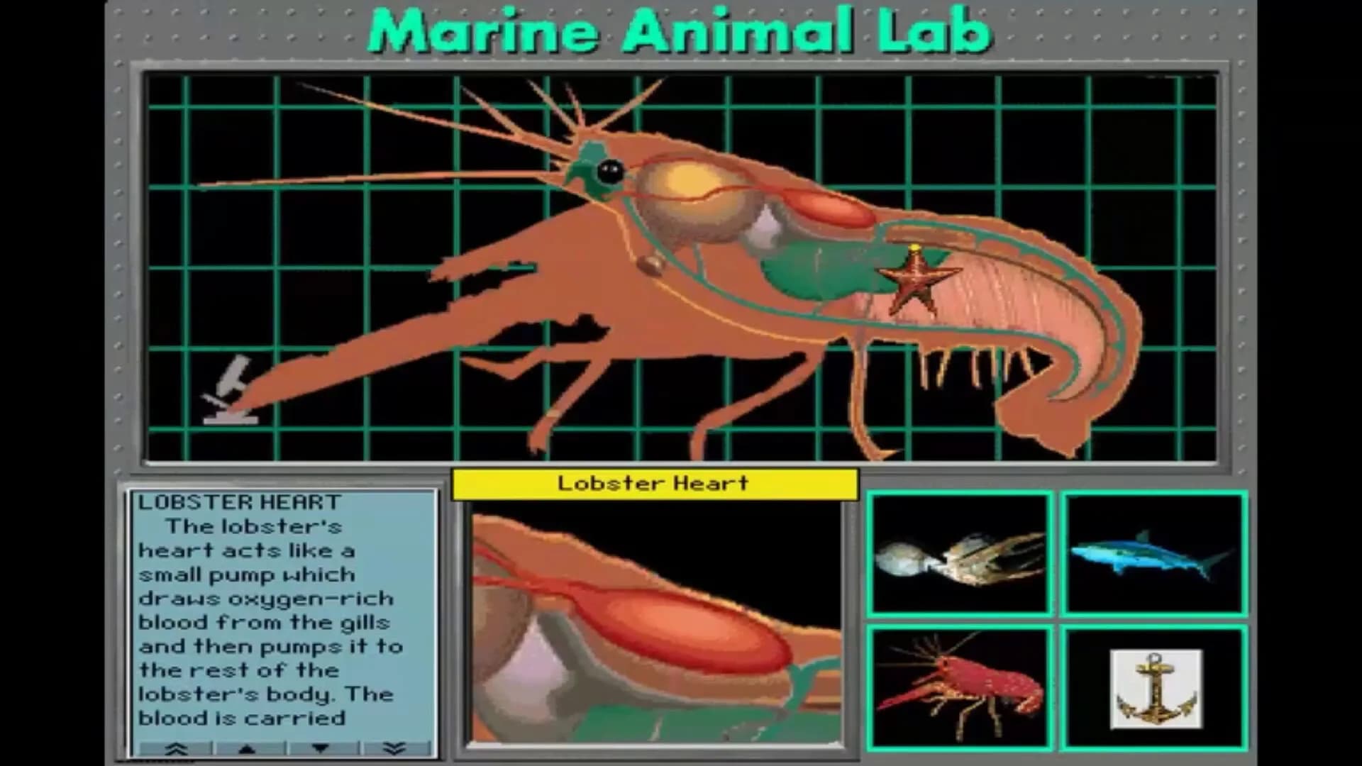 Undersea Adventure görsel 5