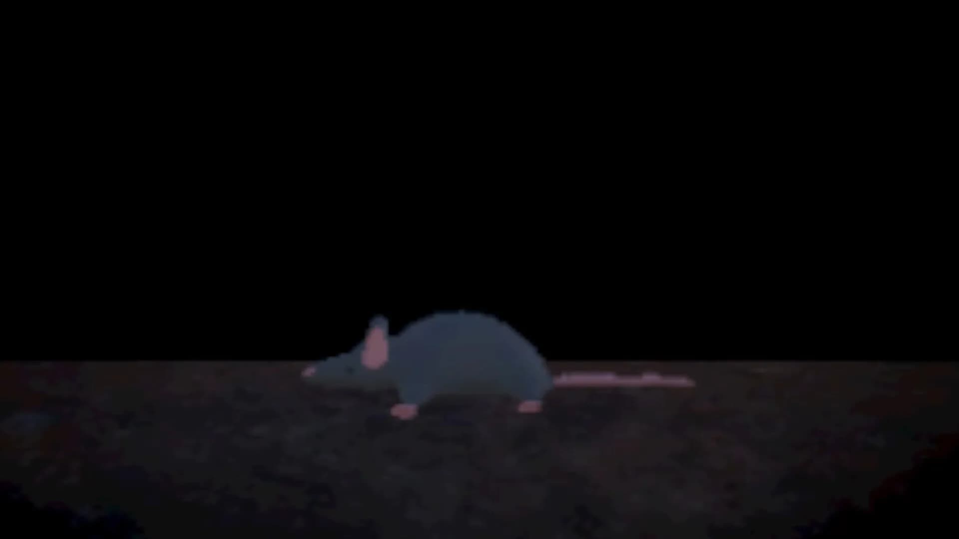 Ratfall görsel 8