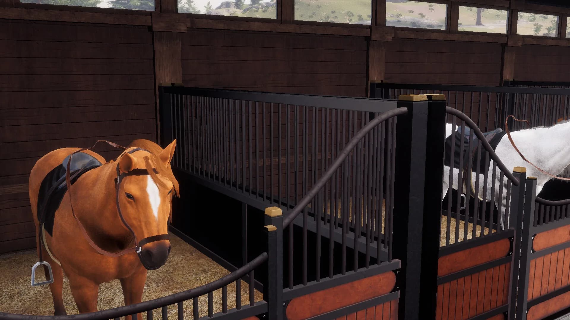 Derby Life: Ranch & Race görsel 4