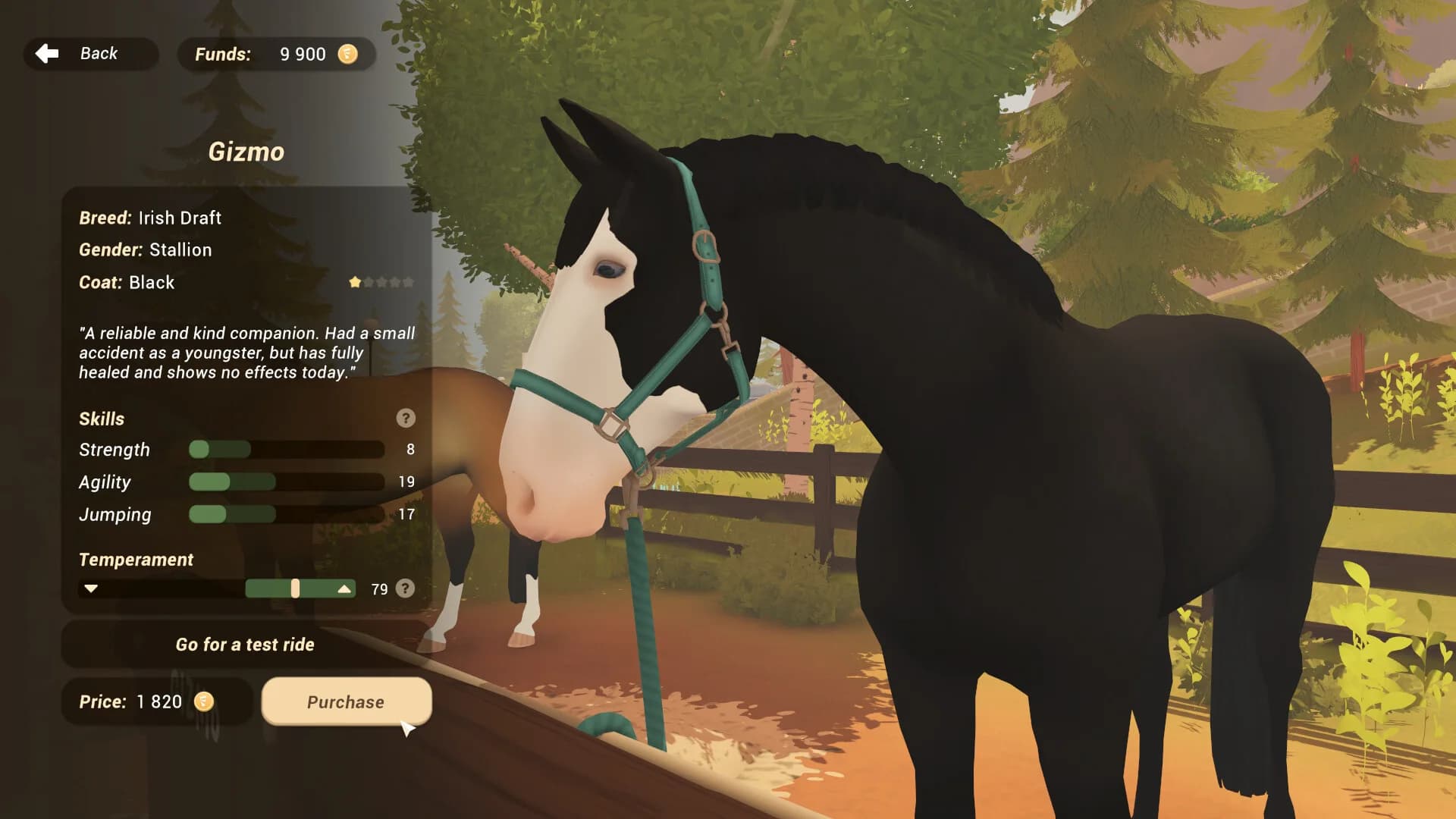 Fernhoof Grove: Riding Academy görsel 6