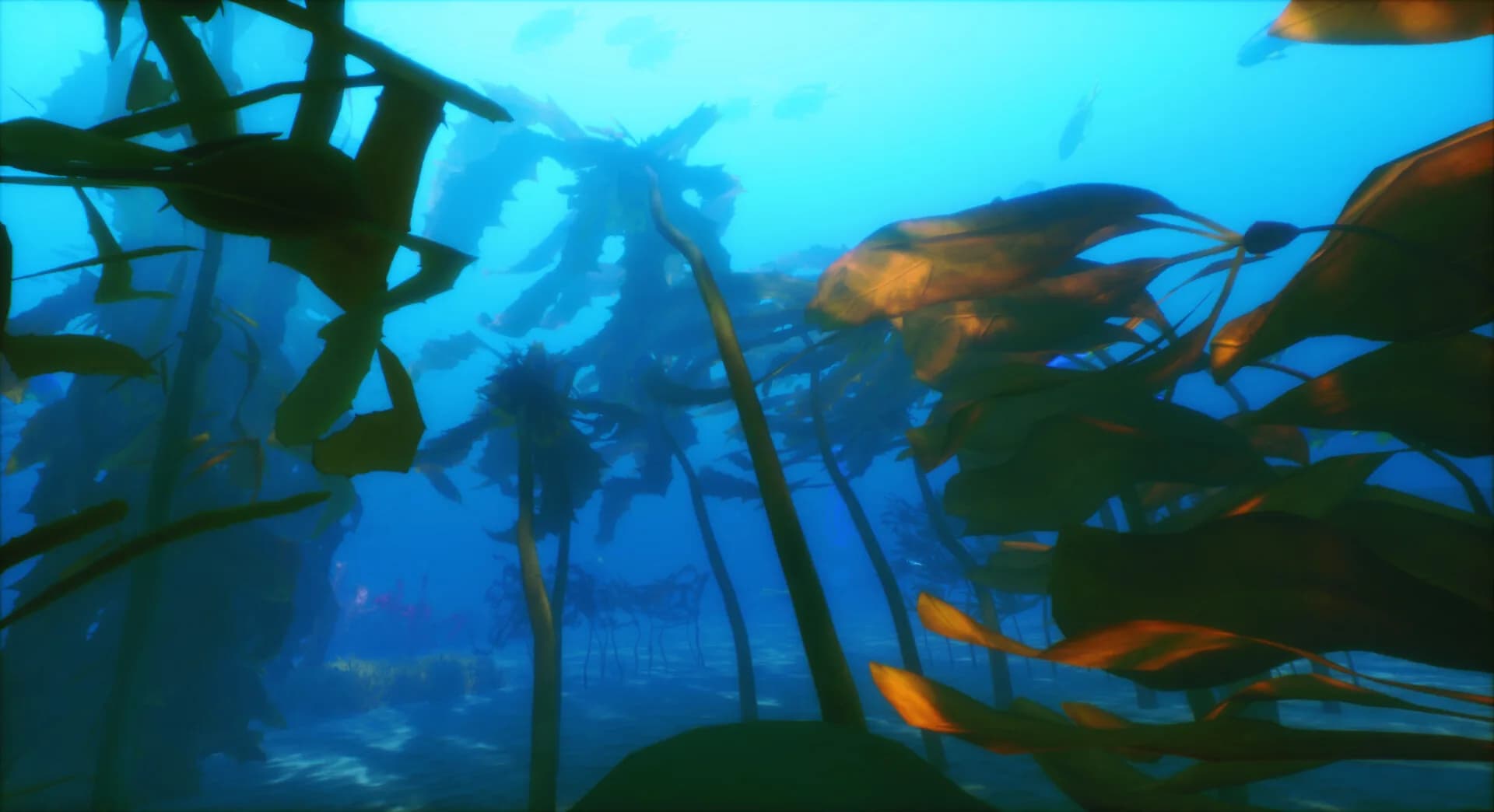 To The Deep görsel 2