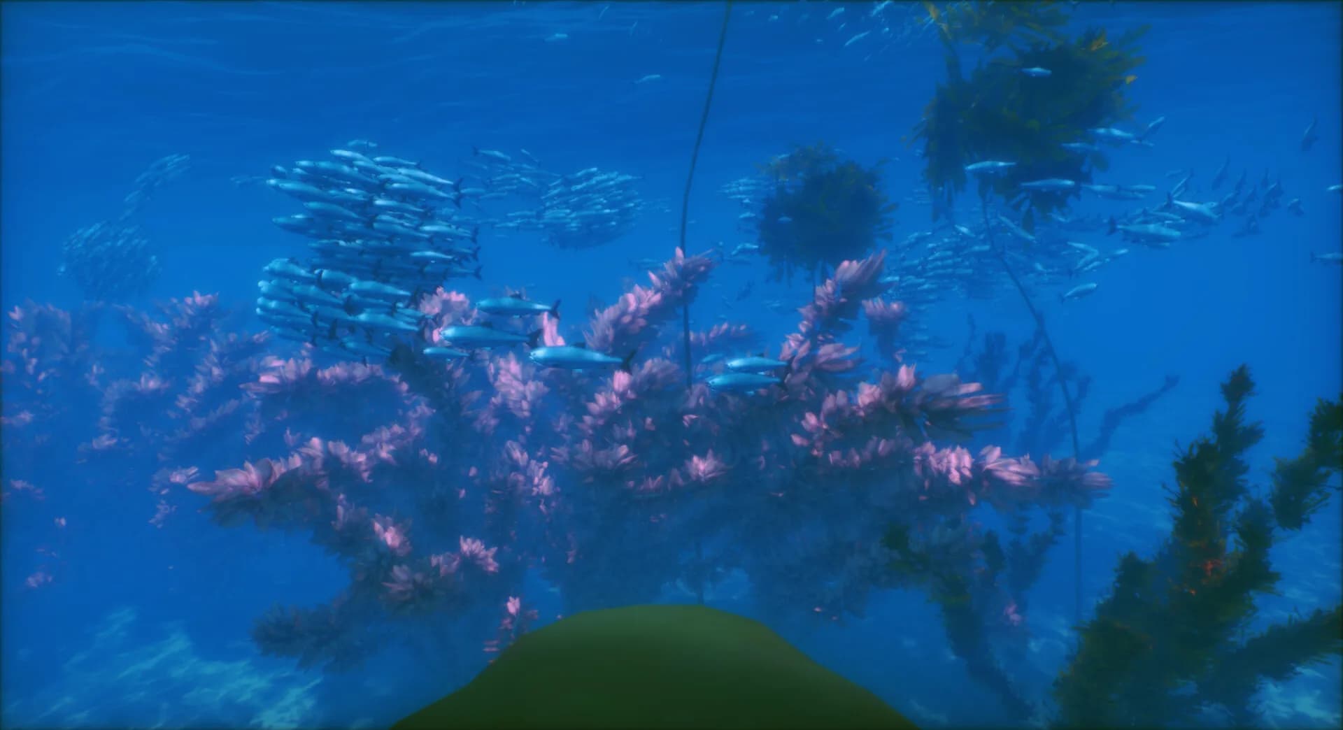 To The Deep görsel 3