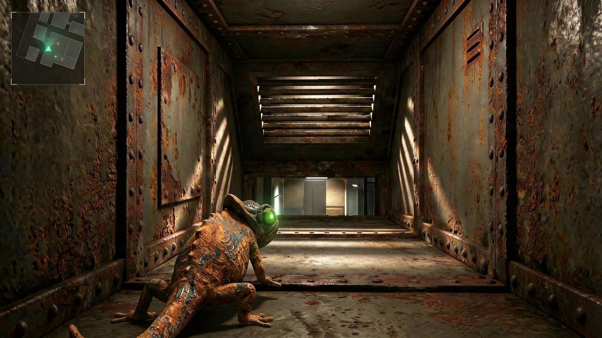 Gecko: Wall Hacker görsel 7