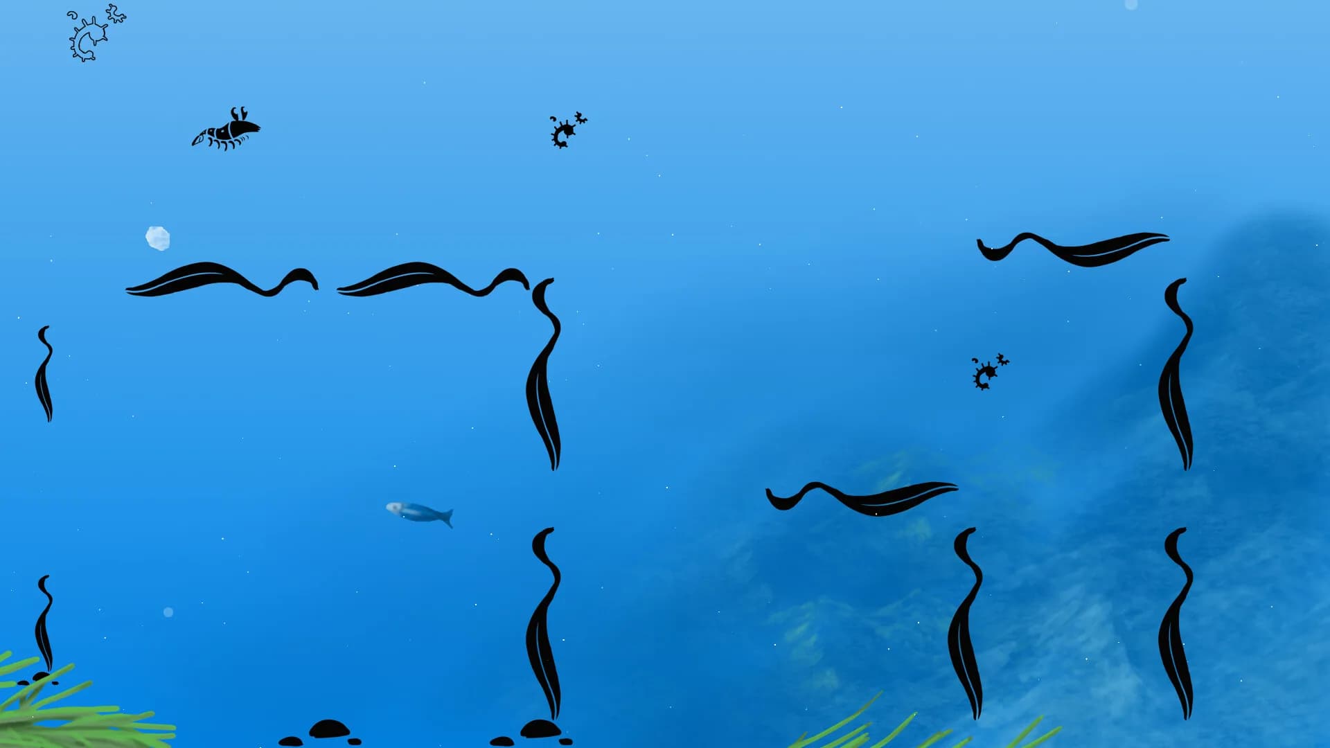 Euphausia superba: The Antarctic Krill görsel 2
