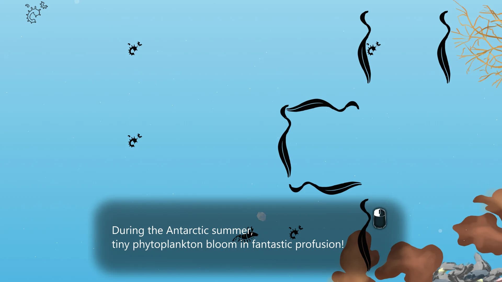 Euphausia superba: The Antarctic Krill görsel 4