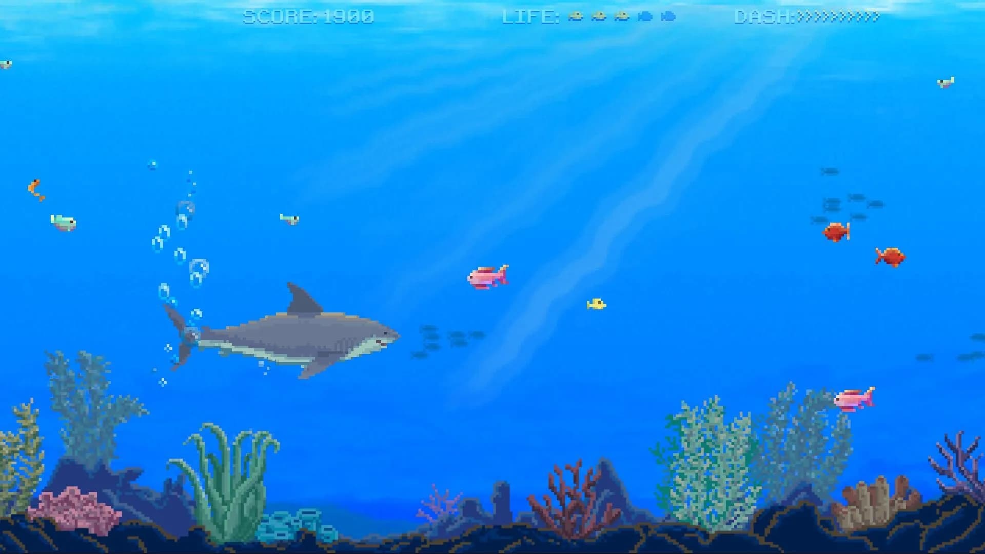 Watch Out: Shark! görsel 2