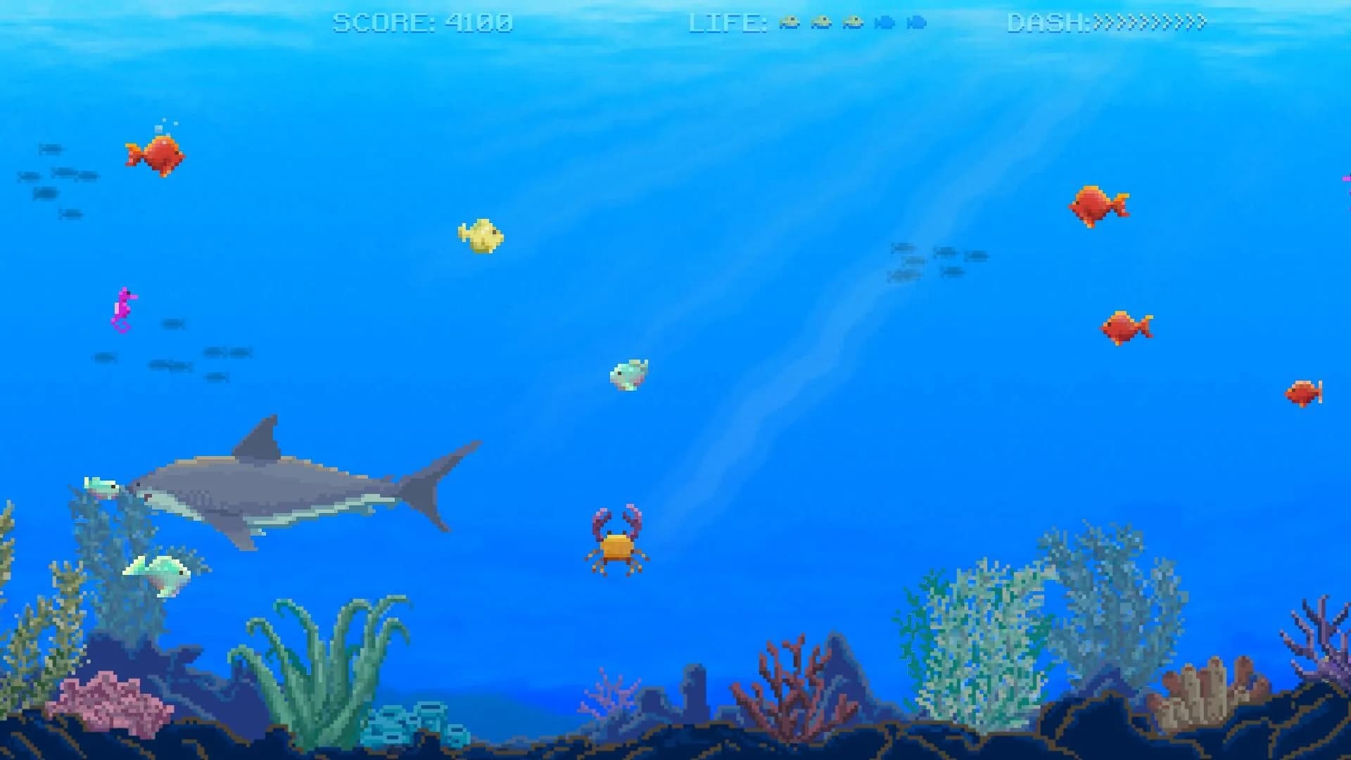 Watch Out: Shark! görsel 3