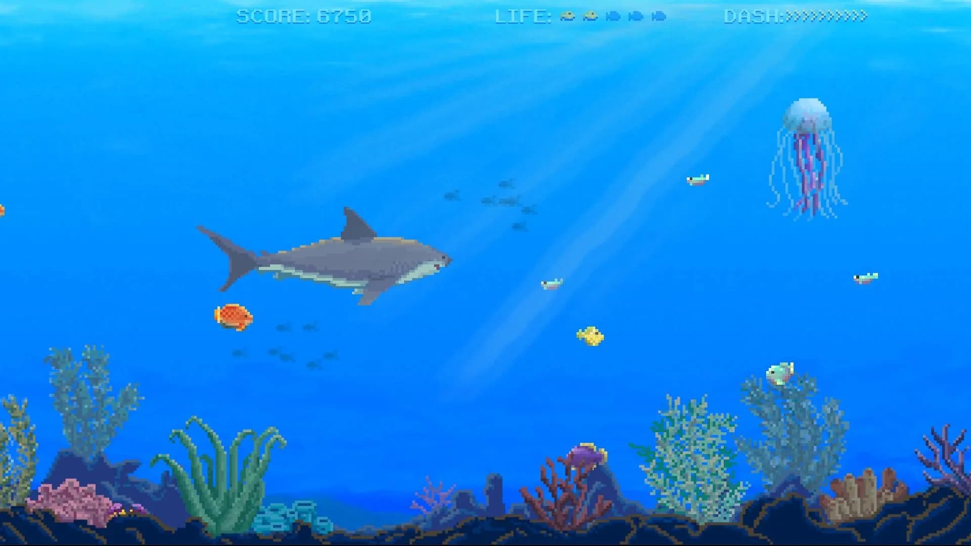 Watch Out: Shark! görsel 4