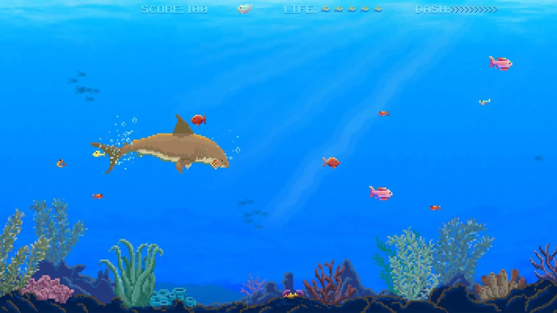 Watch Out: Shark! görsel 5