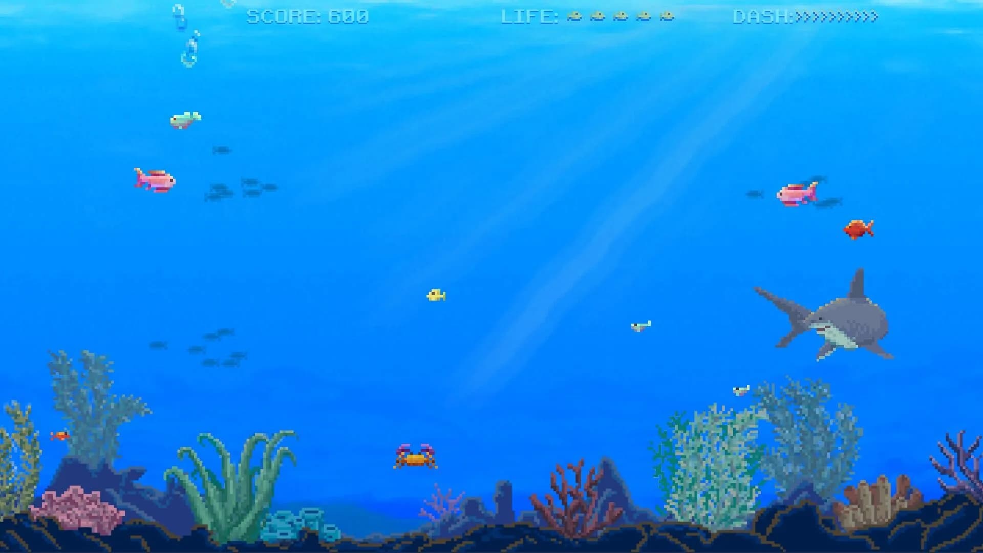 Watch Out: Shark! görsel 6