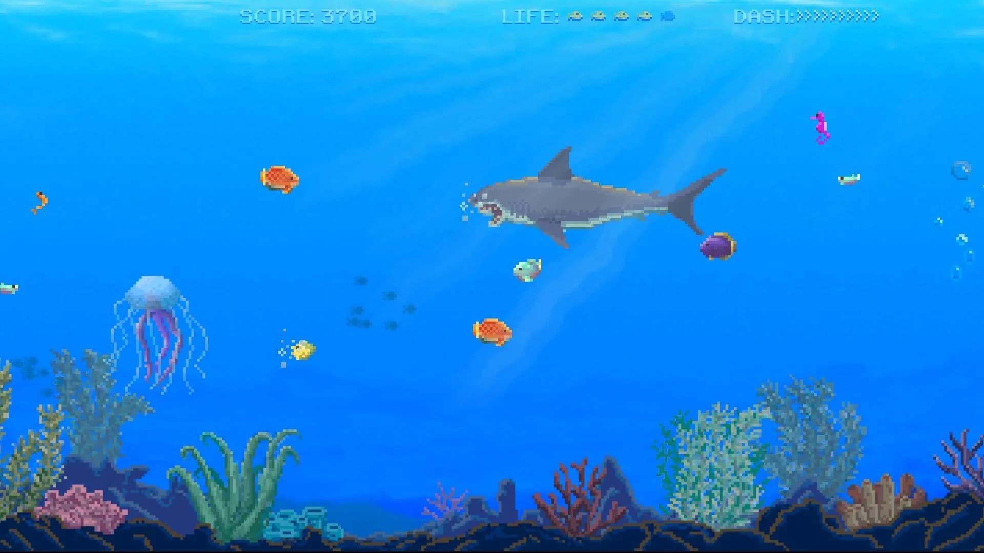 Watch Out: Shark! görsel 7