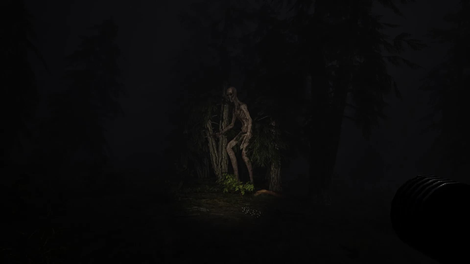 Echoes of Sin: Confusion görsel 3