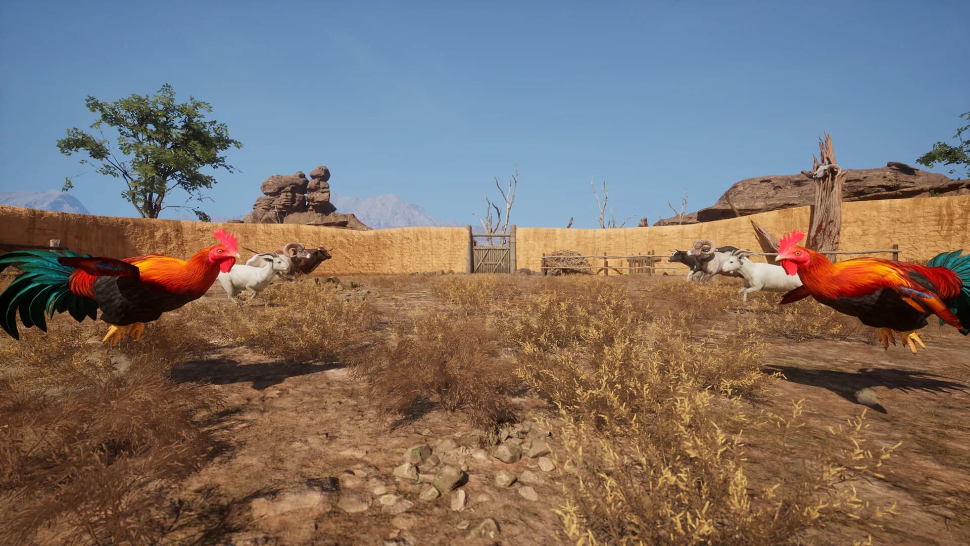 Ram Fights görsel 9