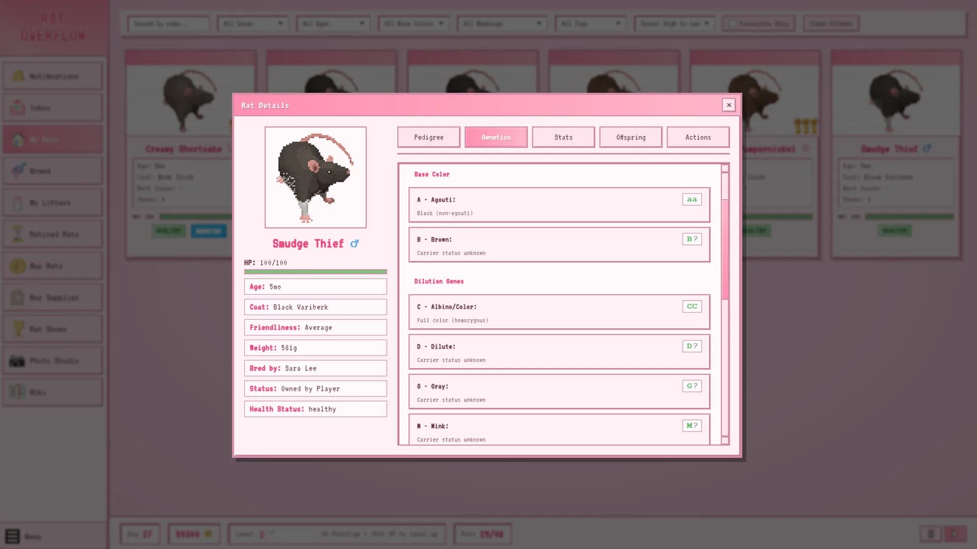 Rat Overflow görsel 2