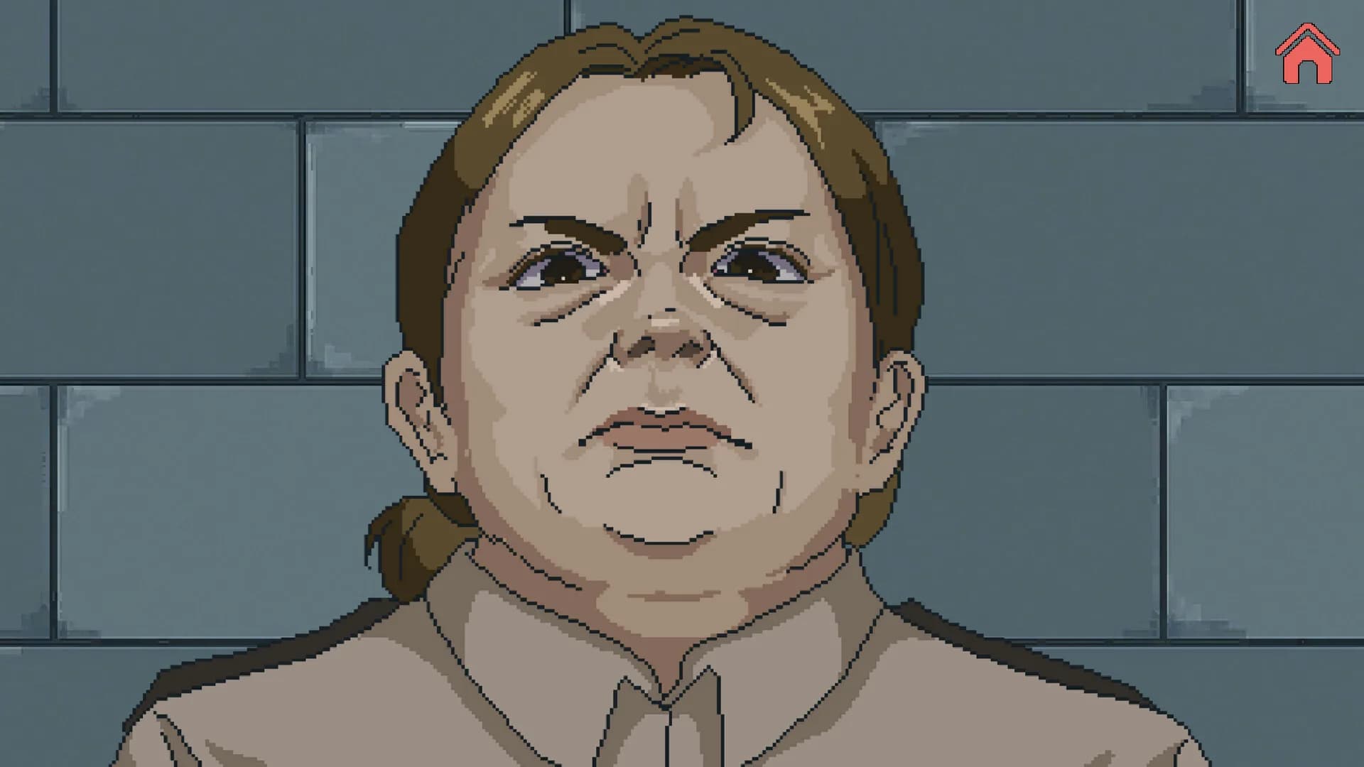 Witness To Mass Incarceration görsel 7