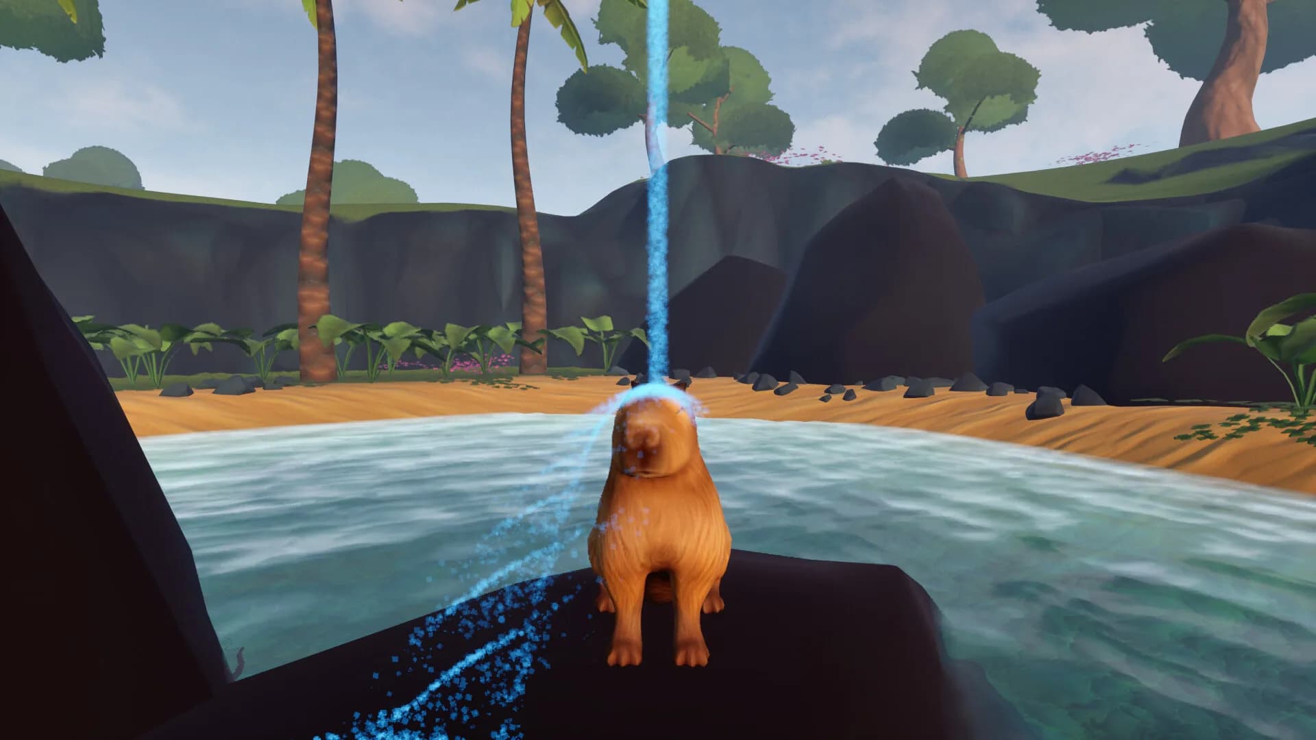 Capybara Simulator görsel 5