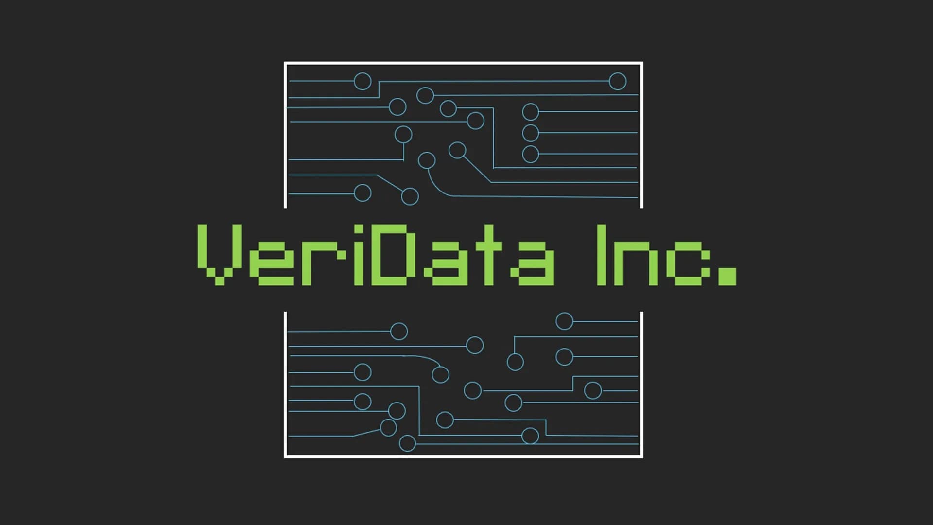 VeriData Inc. görsel 4