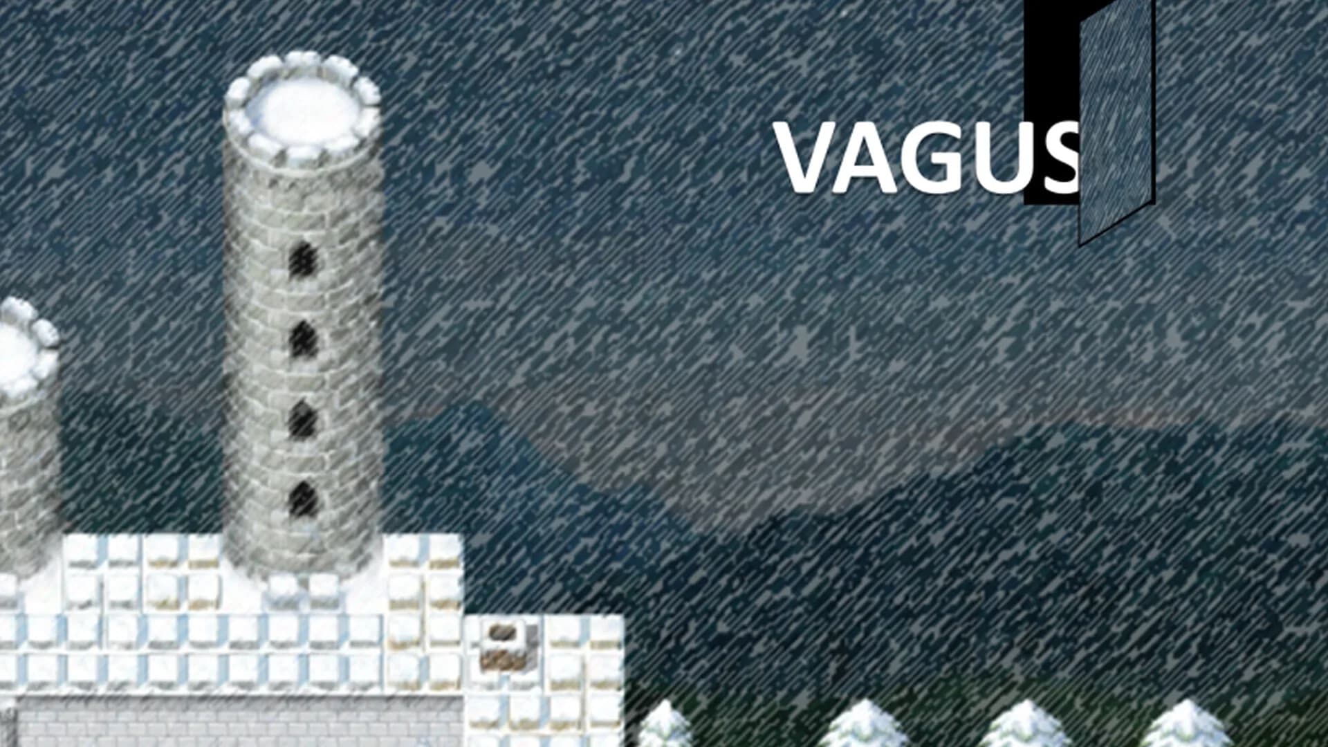 VAGUS görsel 2