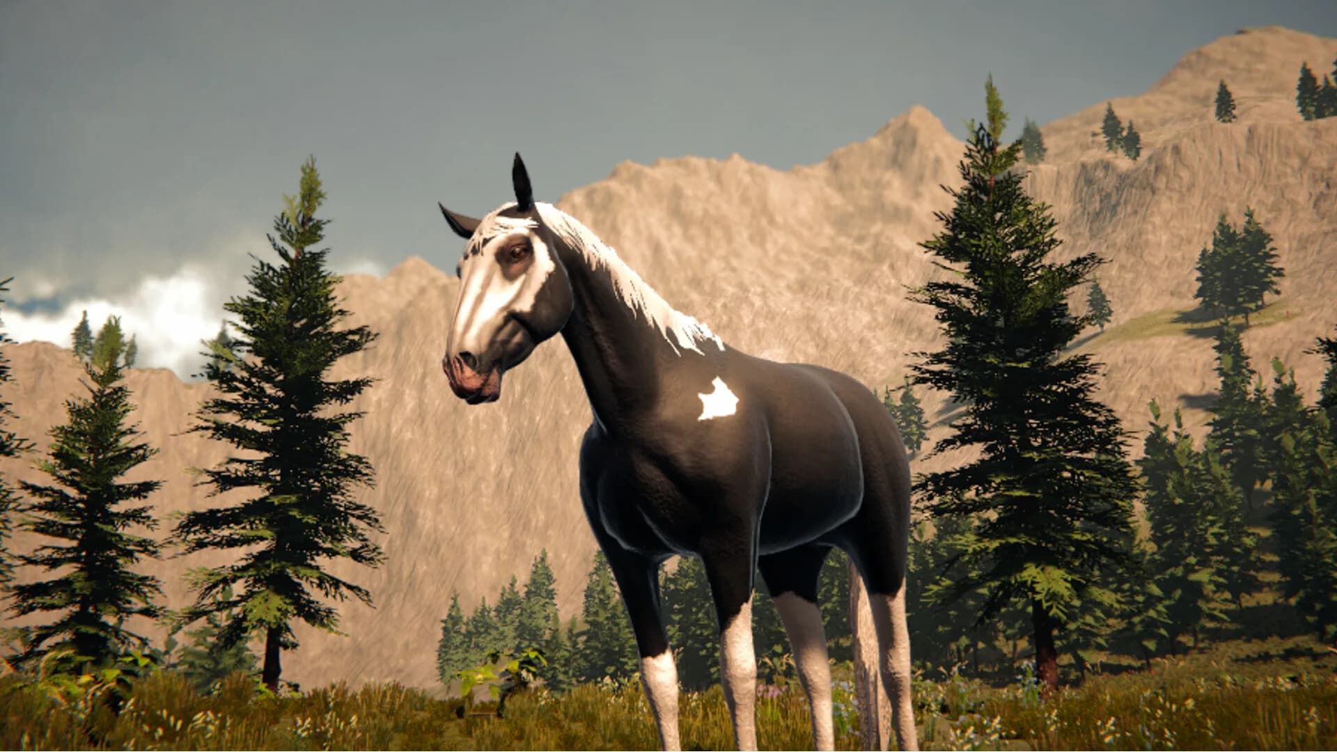 Galloping Dream görsel 2