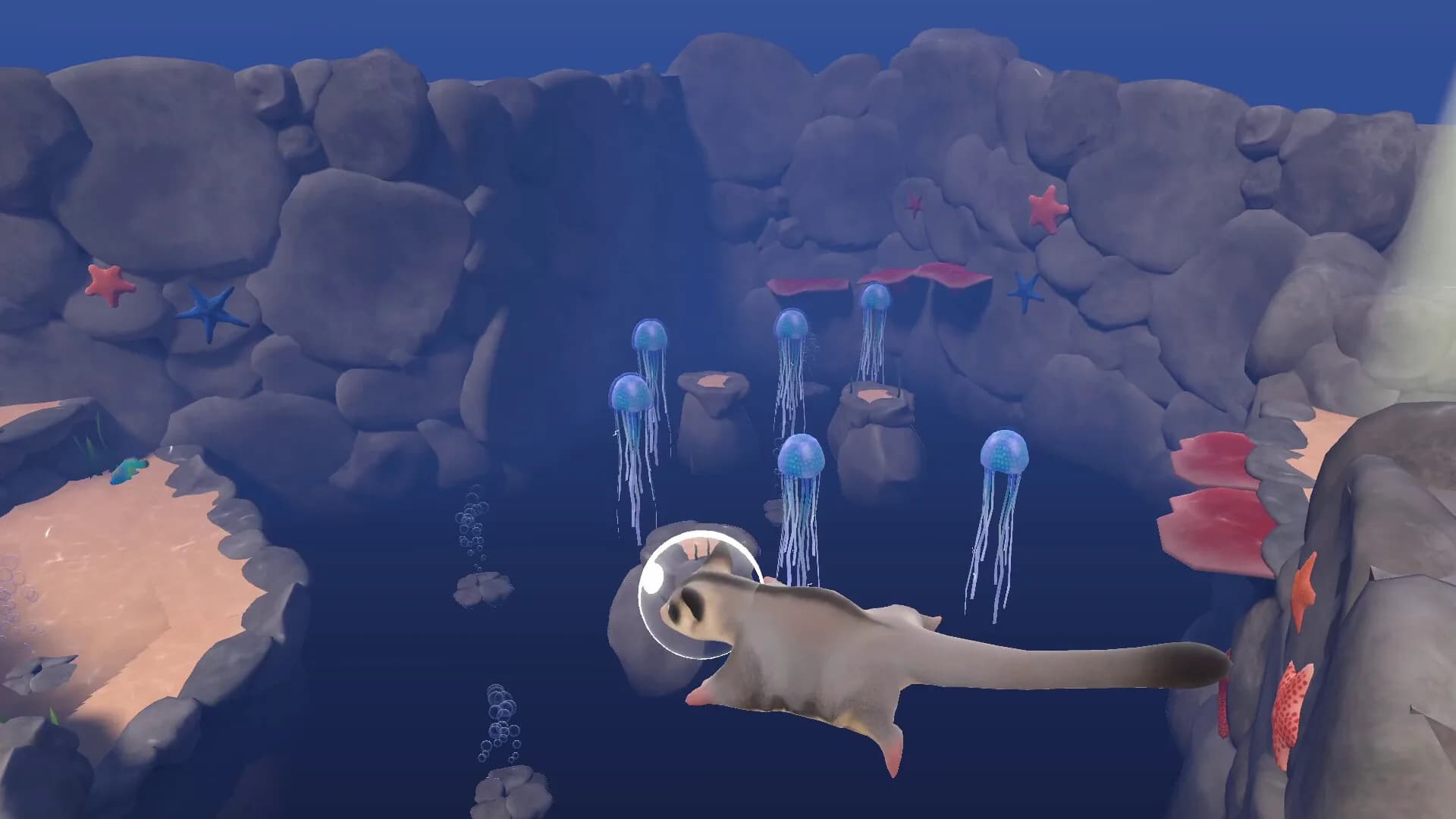 Reefglider görsel 2