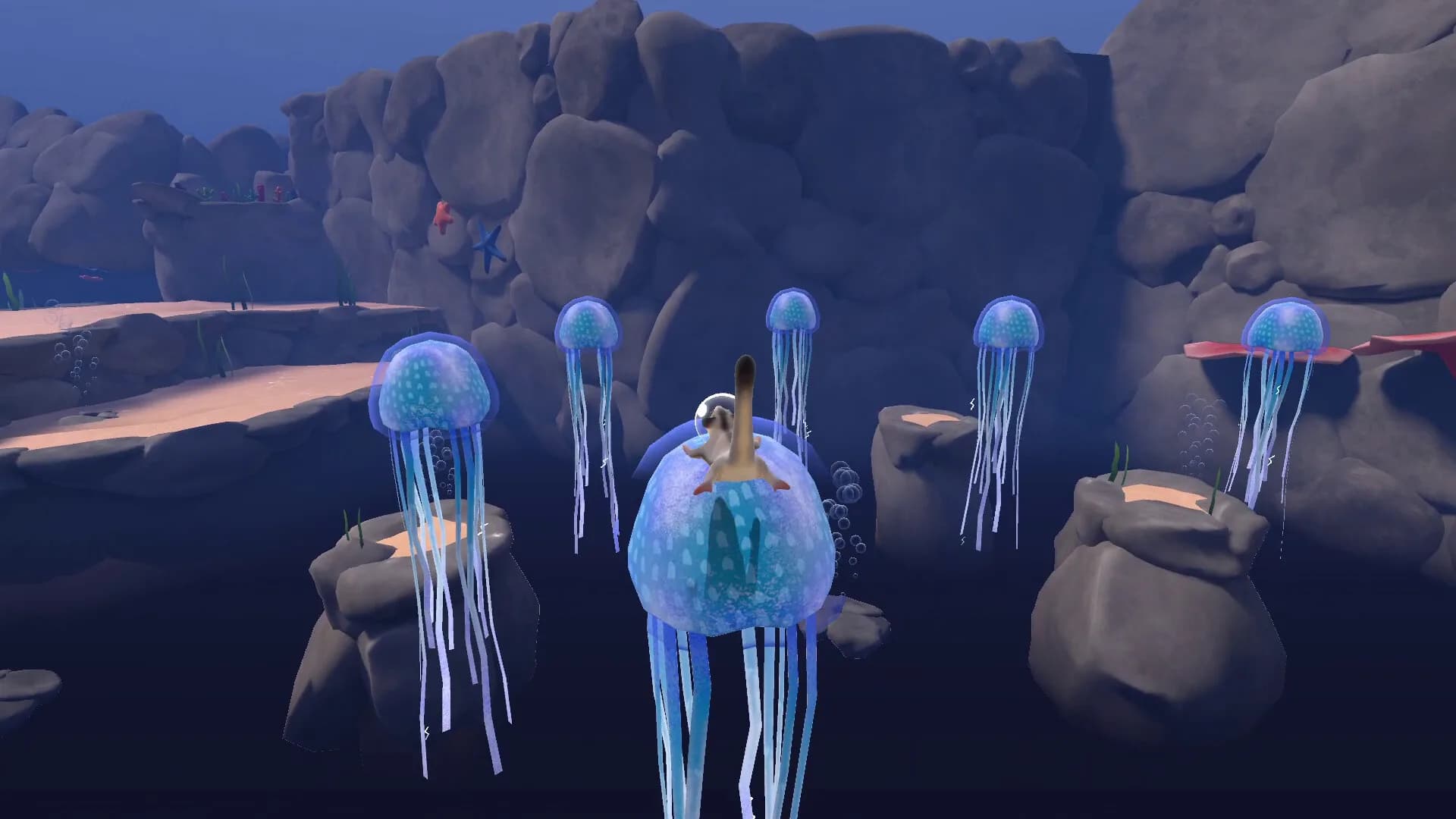 Reefglider görsel 5