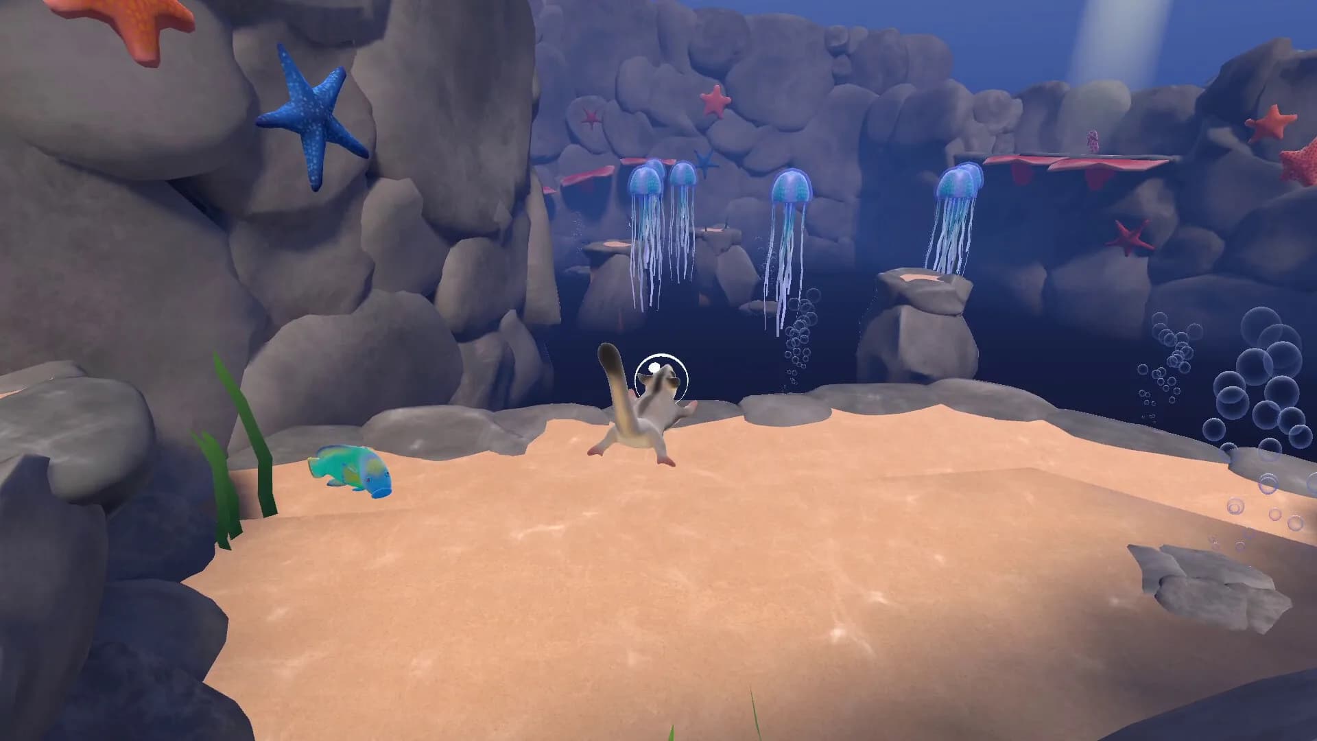 Reefglider görsel 7