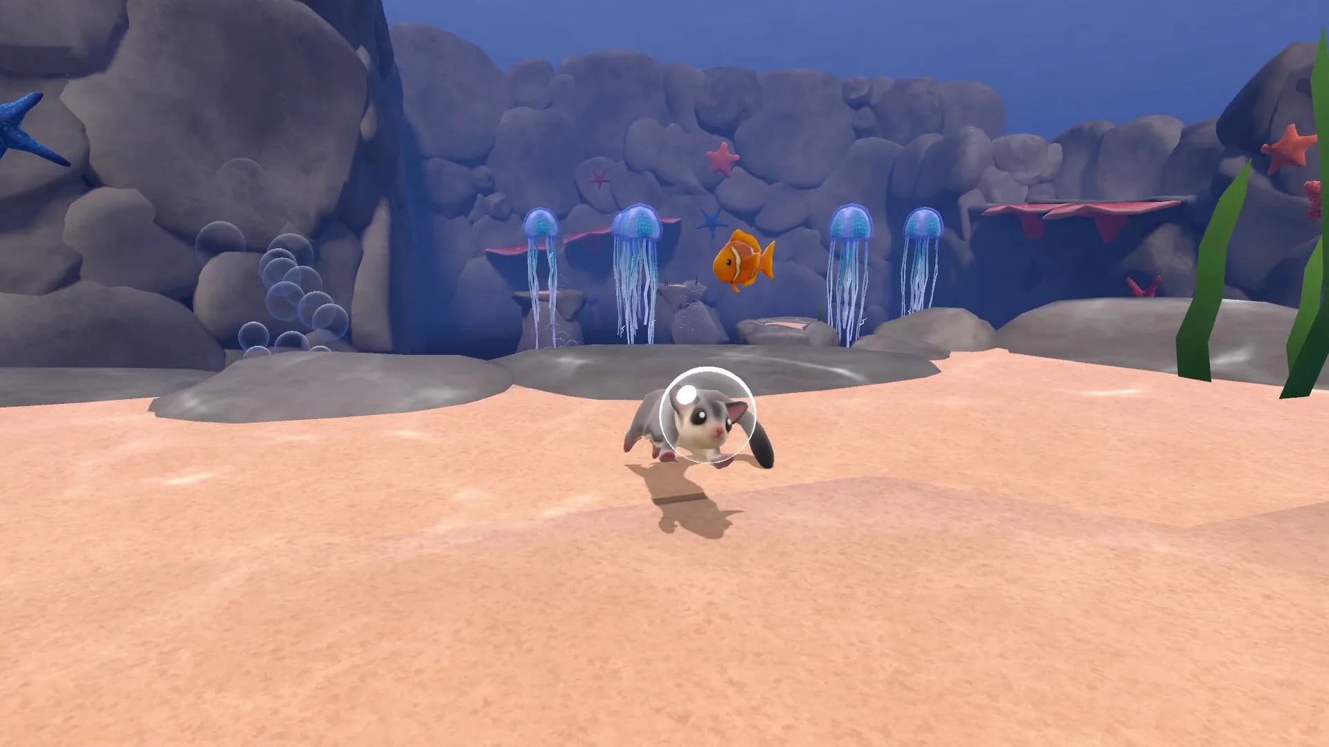 Reefglider görsel 8